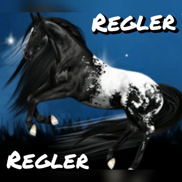 Sajtregler.